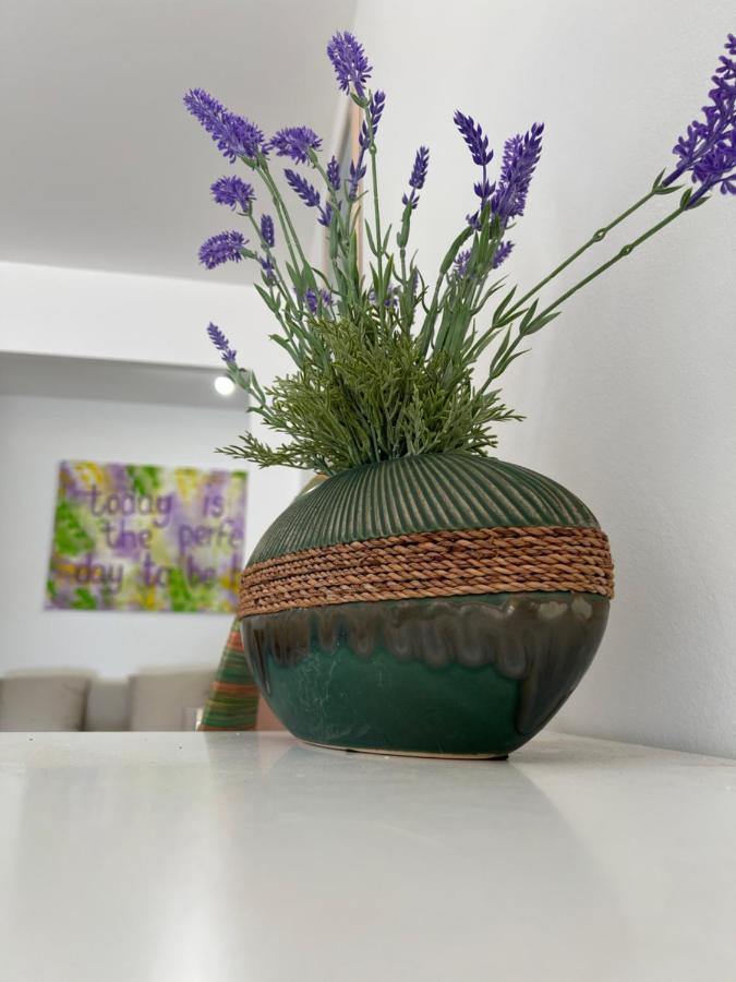 Casa Vacanze Lavanda Menton Bagian luar foto